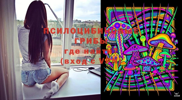 шишки Дмитровск
