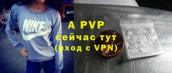 apvp Балахна