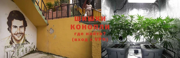 каннабис Баксан