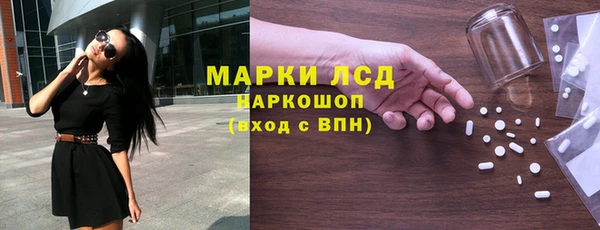 гидра Щёлкино