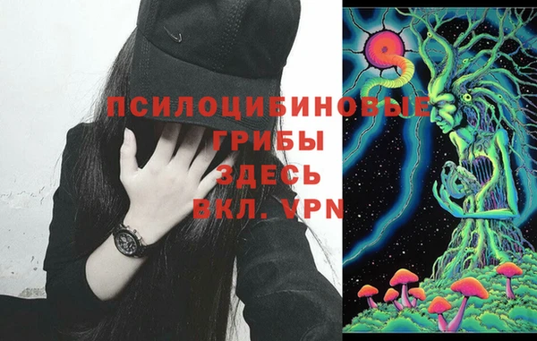 каннабис Баксан