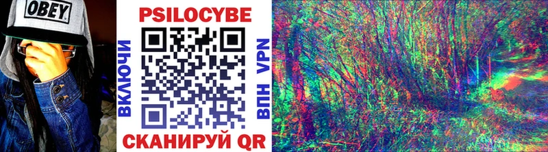 наркошоп Нея Псилоцибиновые грибы Cubensis